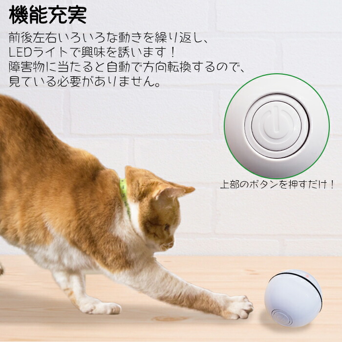 ペット専用 電動 ネコじゃらし ボール 一人遊び 動く 犬 猫じゃらし おもちゃ 回転 送料無料 キャットボール ドッグボール 激安の 43 割引 Festina Pl