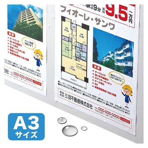 サンワサプライ カラーレーザー用 耐水紙・標準 A3サイズ LBP-WPF12MDPN-A3X5(代引不可)