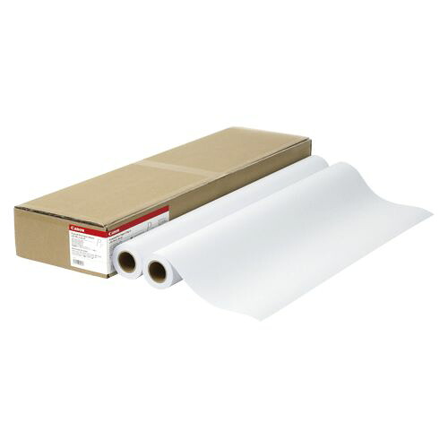 キヤノン スタンダード普通紙2 LFM-PPS2/24/64 2本入 1 箱 LFM-PPS2/24/64 文房具 オフィス 用品【送料無料】