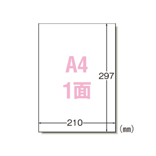 ＼6月百貨店SALE／お買い得商いものをご引き合わせる！
