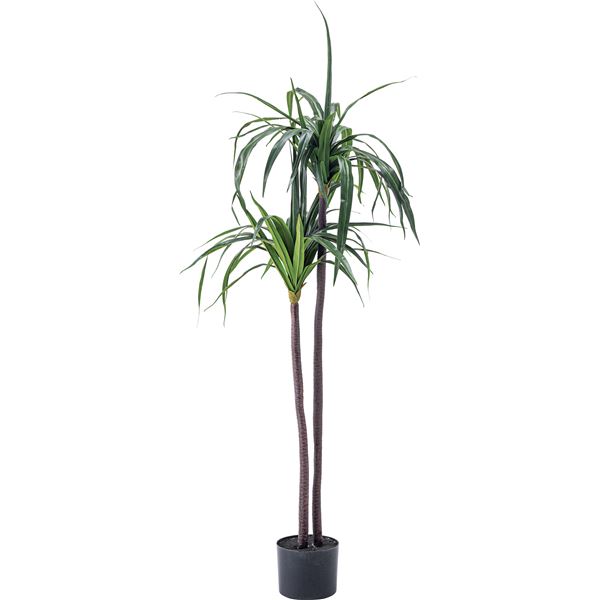 フェイクグリーン 観葉植物 ドラセナ 約幅43&times;奥行42&times;高さ84cm リビング 店舗 ショップ インテリア雑貨｜リコメン堂生活館