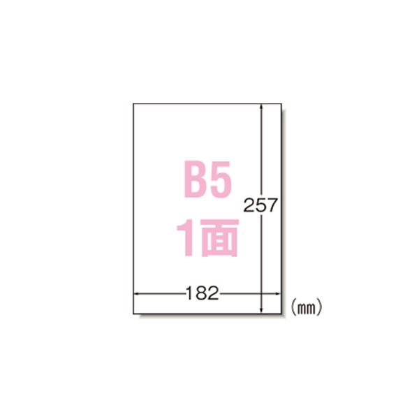 （まとめ） エーワン ラベルシール〈プリンタ兼用〉 マット紙 ノーカットタイプ 28421 100枚入 【×2セット】 (代引不可)