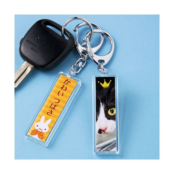 （まとめ）サンワサプライ 手作りキーホルダーキット（スティック型） JP-ST15【×5セット】 (代引不可)