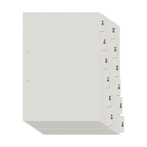 （まとめ）プラス たすけあレセプト用4～3月インデックス A4タテ 6山2組 グレー FL-809IS 1パック【×20セット】 (代引不可)