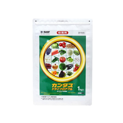 BASFジャパン株式会社 BASF カンタスドライ フロアブル 1kg(代引不可)【送料無料】