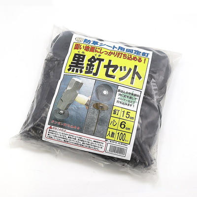 SNアグリーン 黒釘セット 100セット(代引不可)【送料無料】