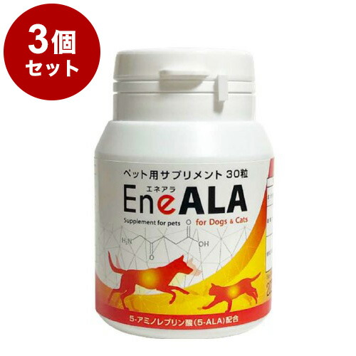 ＼6月百貨店SALE／お買い得商いものをご引き合わせる！