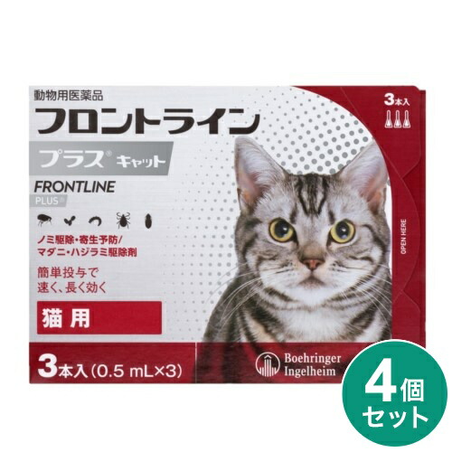 ＼6月百貨店SALE／お買い得商いものをご引き合わせる！