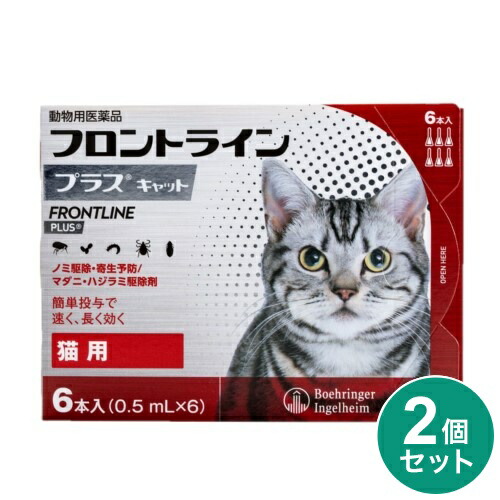 ＼6月百貨店SALE／お買い得商いものをご引き合わせる！