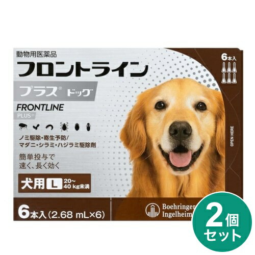 ＼6月百貨店SALE／お買い得商いものをご引き合わせる！