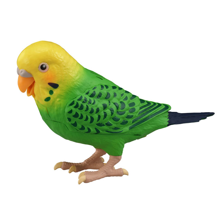 タカラトミー ヒーリングパートナー 毎日おしゃべり天才インコちゃん 代引不可 送料無料 リコメン堂生活館 電子ペット タカラトミー 送料無料 毎日 おしゃべり天才インコちゃん まいにち おしゃべり インコ そっくり かわいい プレゼント お年寄り 子供 孫 タカラトミー ヒーリングパートナー 毎日おしゃべり天才インコちゃん 代引不可 送料無料 リコメン堂生活館 電子ペット タカラトミー 送料無料 毎日 おしゃべり天才インコちゃん まいにち おしゃべり インコ そっくり かわいい プレゼント お年寄り 子供 孫