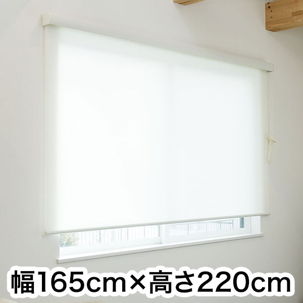ロールスクリーン カバー付き 防炎 無地 幅165cm&times;高さ220cm シンプル おしゃれ 北欧 オフィス マンション 法人 間仕切り ロールカーテン(代引不可)【送料無料】｜リコメン堂生活館