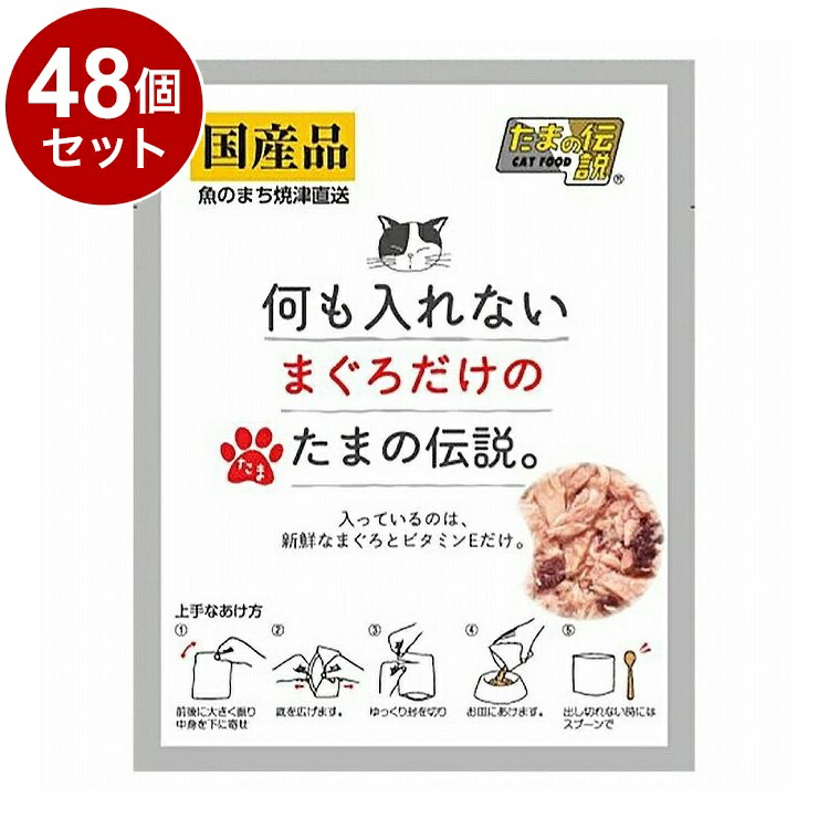 【48個セット】 STIサンヨー 何も入れないまぐろだけのたまの伝説 パウチ 35g【送料無料】