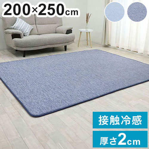 ラグ 200×250cm 低反発 ラグ ラグマット 夏用 接触冷感 ひんやり ラグマット 低反発 厚20mm 防音 フロア 床 滑り止め付 厚手 ふかふか 北欧 冷感 涼しい クールマット(代引不可)【送料無料】