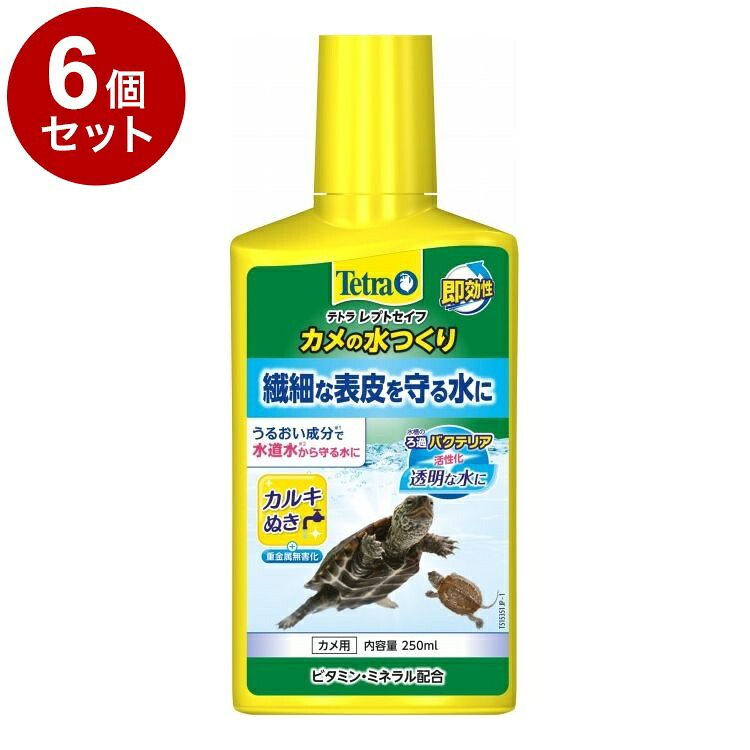 【6個セット】 テトラ レプトセイフ カメの水つくり 250ml【送料無料】