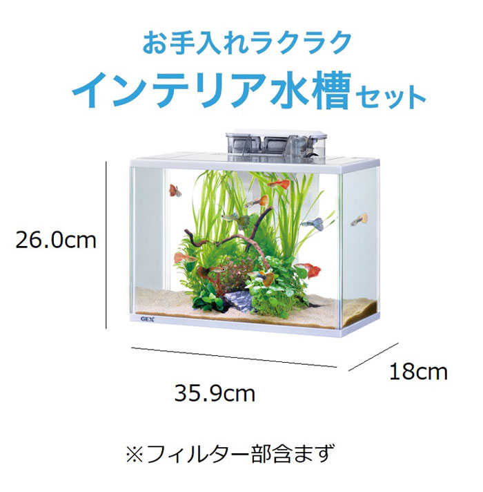 超ポイントバック祭】 GEX AQUARIUM ラピレスRV90 LEDセット グランデ