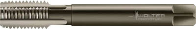 ワルター プロトティップ ECO CI 切削タップ【JE20364-M10】(ねじ切り工具・ポイントタップ)【送料無料】