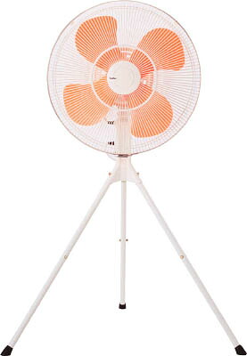＼6月百貨店SALE／お買い得商いものをご引き合わせる！