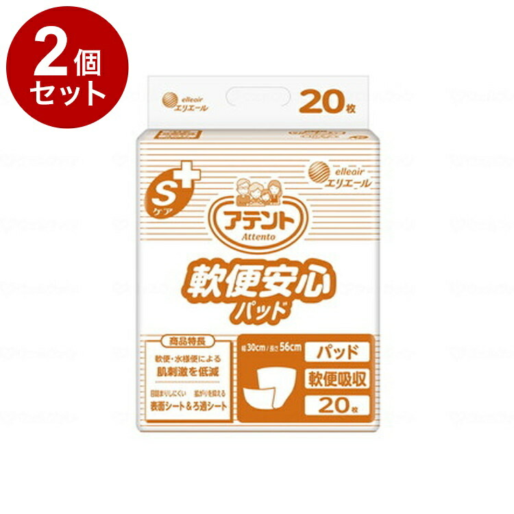 【単品2個セット】大王製紙 G Sケア軟便安心パッド20枚 袋 20枚 20774010(代引不可)【送料無料】