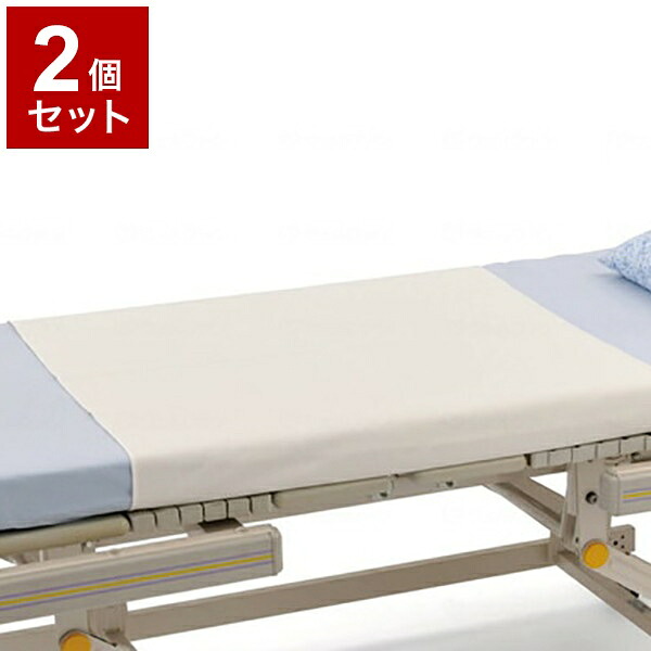 【単品2個セット】ピジョンタヒラ さらっと吸水消臭シーツ L 609500DD(代引不可)【送料無料】