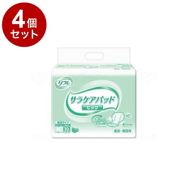 【単品4個セット】 リブドゥ Gサラケアパッドビッグ 袋 18081(代引不可)【送料無料】