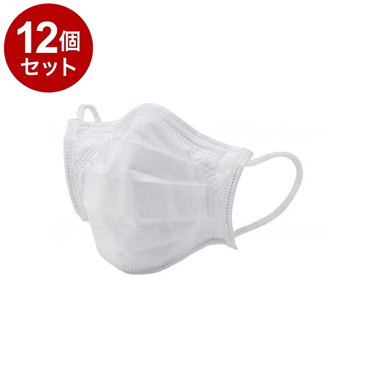 【単品12個セット】 ビー・エム・シー BMCフィットマスク60枚入/箱/ラージ(代引不可)【送料無料】