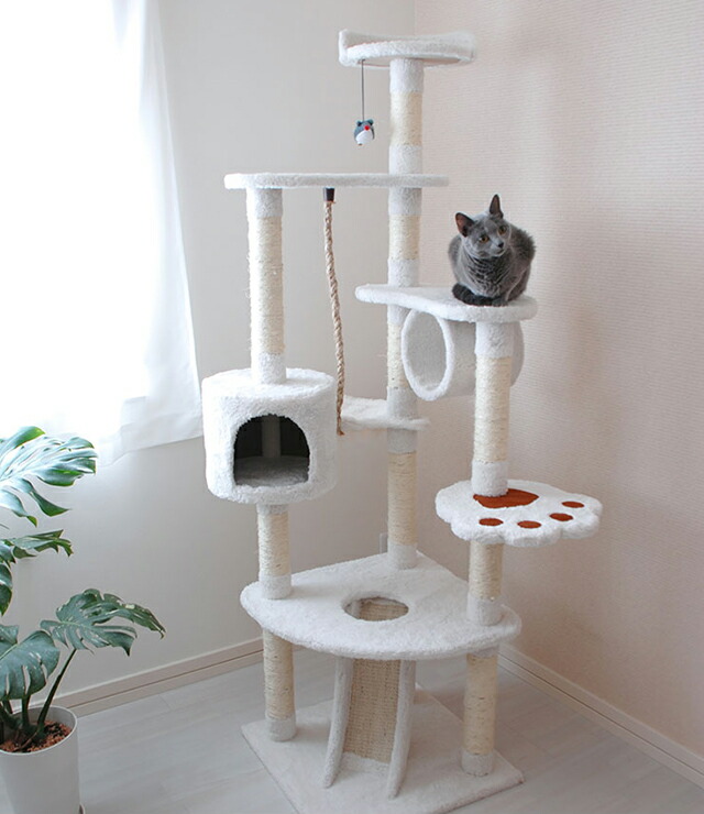 大流行中 楽天市場 キャットタワー 据え置き型 Qq R おしゃれ 省スペース スリムタイプ 猫用品 キャットツリー 爪とぎ 多頭飼い ボックス付 代引不可 送料無料 リコメン堂生活館 超人気 Blog Belasartes Br