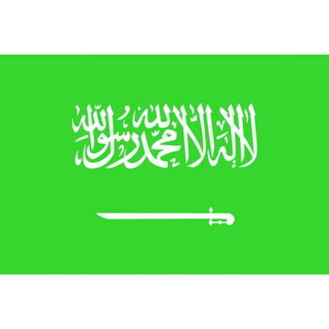 東京製旗 国旗No.2(90×135cm) サウジアラビア 426302(代引不可)【送料無料】