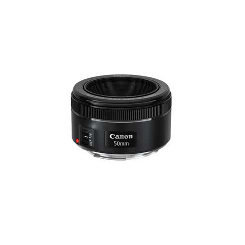 開店祝い 楽天市場 Canon 交換用レンズ Ef50mm F1 8 Stm Ef5018stm Ef5018stm 代引不可 送料無料 リコメン堂ホームライフ館 流行に Lexusoman Com