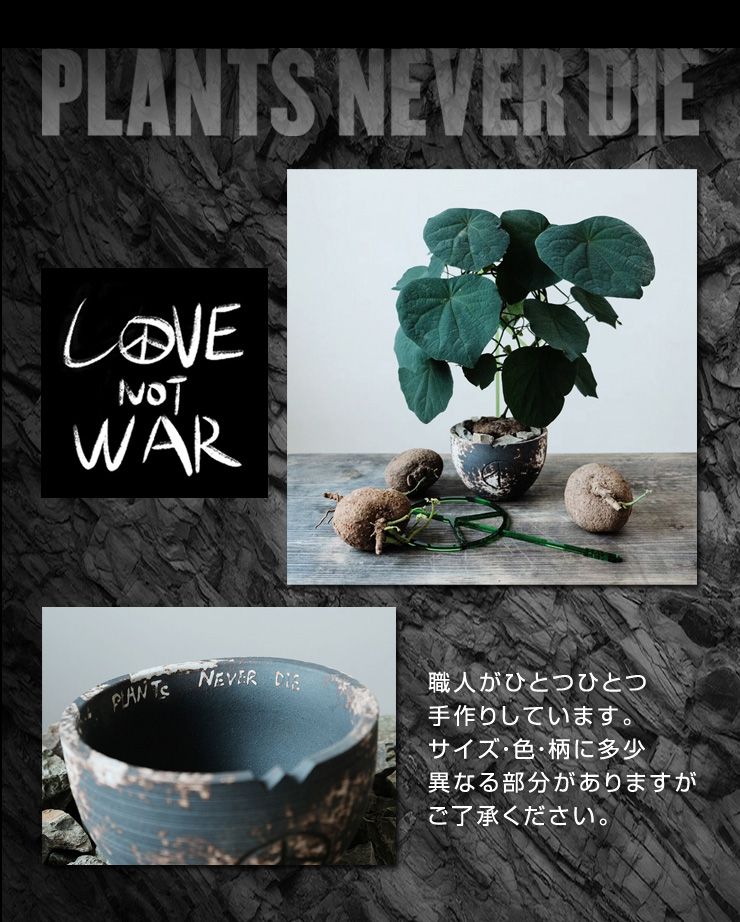 楽天市場 Plants Never Die 正規販売店 反戦鉢 W14 2cm H10 5cm 鉢植え おしゃれ 骨 イラスト ブラック 径14 2 高さ10 5 陶器 ガーデニング 屋外 屋内 プランター 植木鉢 観葉植物 インテリア 雑貨 鉢 送料無料 リコメン堂ホームライフ館