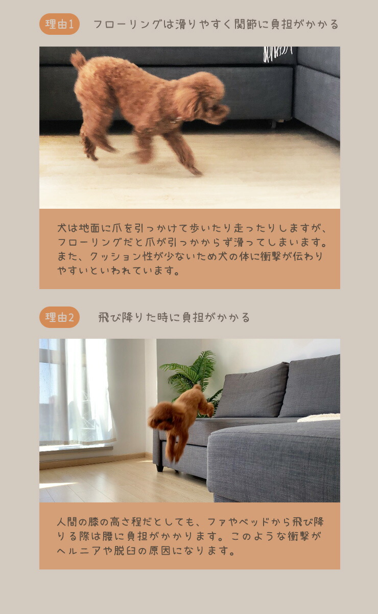 ドッグステップ 3段 収納ボックス付 大容量 滑り止め カバー付き コンパクト ヘルニア 脱臼 予防 負担軽減 室内犬 小型犬 高齢犬 シニア犬 ソファ ペットステップ 送料無料 Mybluehotel Com Br