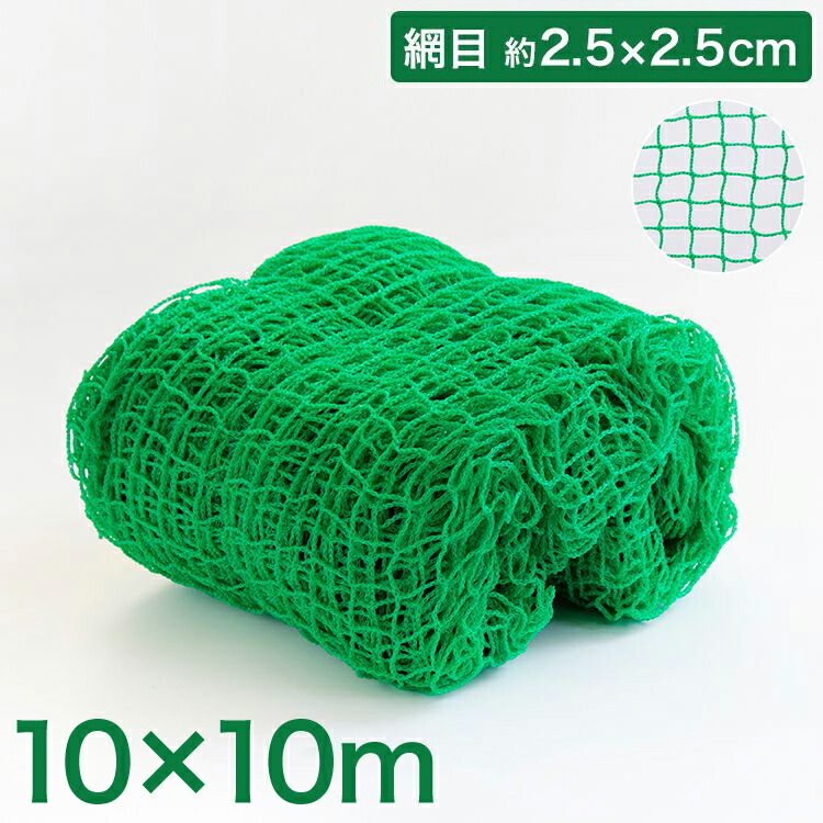 うしろ側サイバー空間 ベイスボール 10×10m 網目2.5珊 緑であること 防球サイバー空間 サイバー空間 保護すること用サイバー空間 せっ生 多役立つことサイバー空間 ゴルフネットバッティングネット 烏よけ ゴミサイバー空間 カーゴネット 緑であることサイバー空間 庭球 蹴球【貨物輸送無料】
