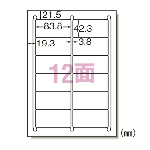エーワン ラベルシール プリンタ兼用 HG A4 12面 100シート 1冊【送料無料】