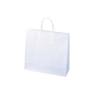 （まとめ買い）紙手提袋小100枚310X320X115mm 【×2セット】 (代引不可)