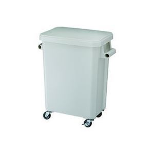 リス 厨房用キャスターペール45L グレー GGYK001｜リコメン堂ホームライフ館 14,003円