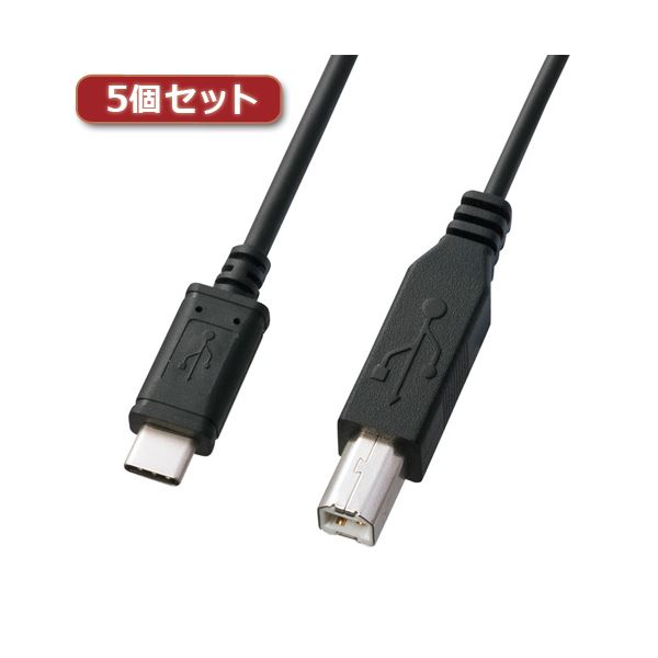 5個セット サンワサプライ USB2.0TypeC-Bケーブル KU-CB20X5 (代引不可)
