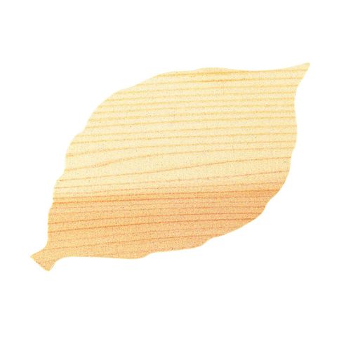 ヤマコー 杉懐敷 木の葉(100枚入) 24010 QKIL301【送料無料】
