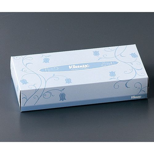 クレシア クリネックスティシュー レギュラー大きさ (1入れもの60箱入) VTI03【貨物輸送無料】