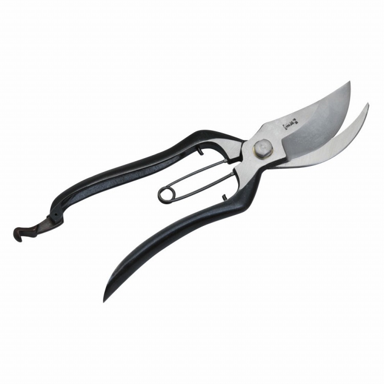 最短翌日お届け  【M2X3EHGY661】 限定デザイン