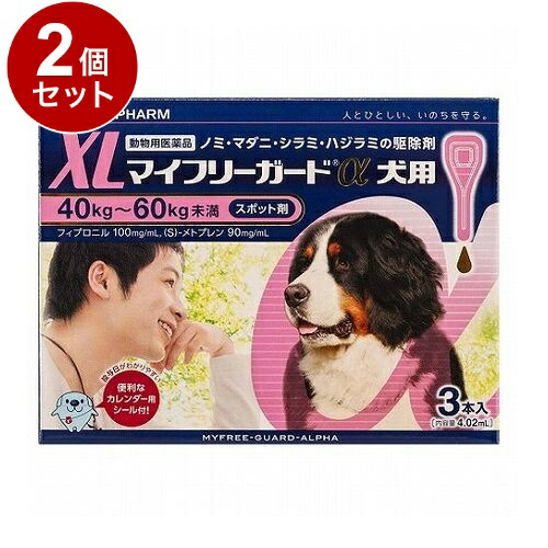 【動物用医薬品】 【2個セット】 ささえあ製薬 マイフリーガードα 犬用 XL 40~60kg未満 3本入【送料無料】