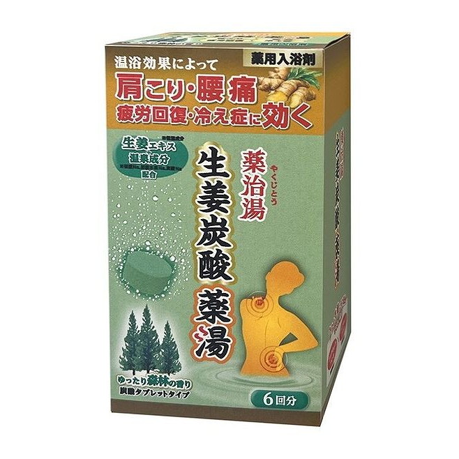 【単品10個セット】 薬治湯 生姜炭酸薬湯 ゆったり森林の香り(代引不可)【送料無料】
