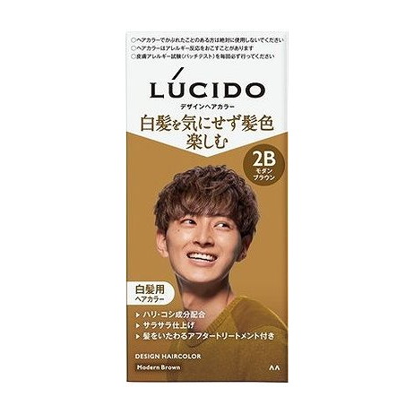 【単品20個仕掛ける】 ルシード デザインヘアカラー 今めかしい赤銅色 (治療薬部外品) マンダム(代引不可)【貨物輸送無料】