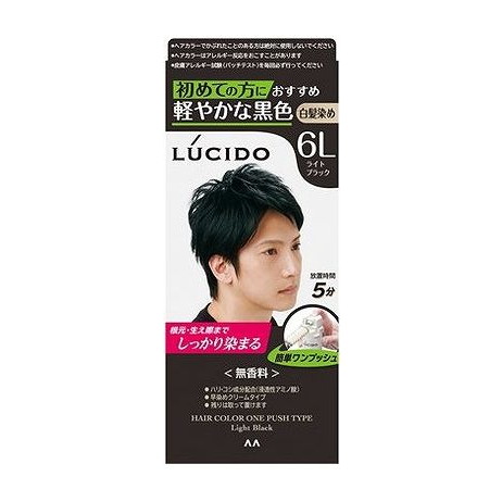 【単品20個仕掛ける】 ルシード ワンプッシュケアカラー ともし火黒いこと (治療薬部外品) マンダム(代引不可)【貨物輸送無料】