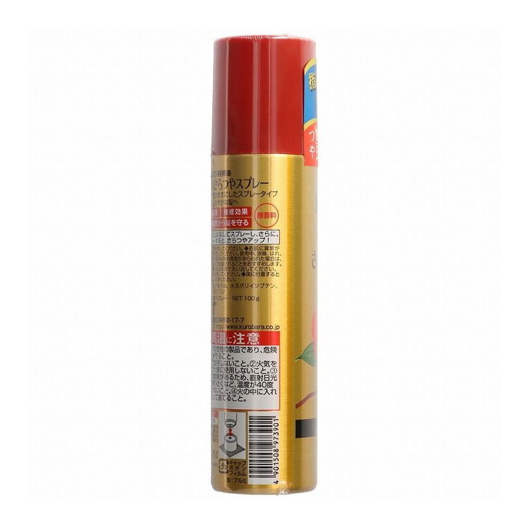 【単品10個セット】 ツバキオイルさらつやスプレー100G 株式会社黒ばら本舗(代引不可)【送料無料】｜リコメン堂ホームライフ館