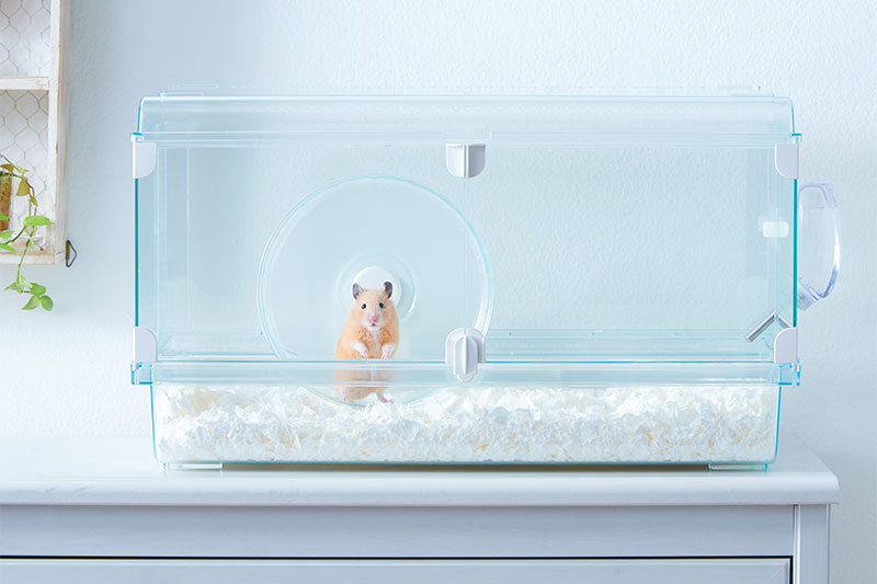 【楽天市場】ジェックス ハビんぐグラスハーモニー600プラス ペット用品 小動物用品 ハムスター ハウス 飼育ケース ケージ 小屋 透明【送料無料】：リコメン堂ホームライフ館