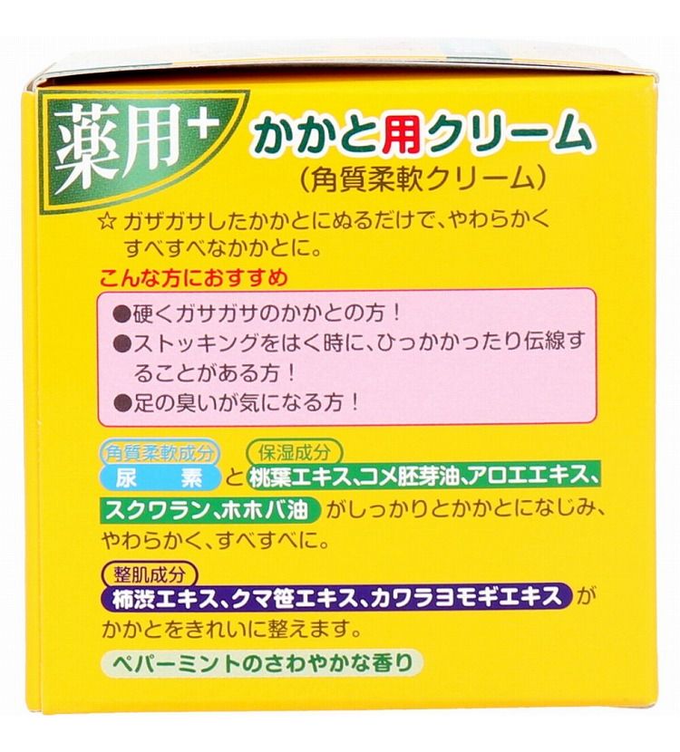 誠実 トプラン つるつる 薬用 かかと用クリーム 110g入 www.servitronic.eu