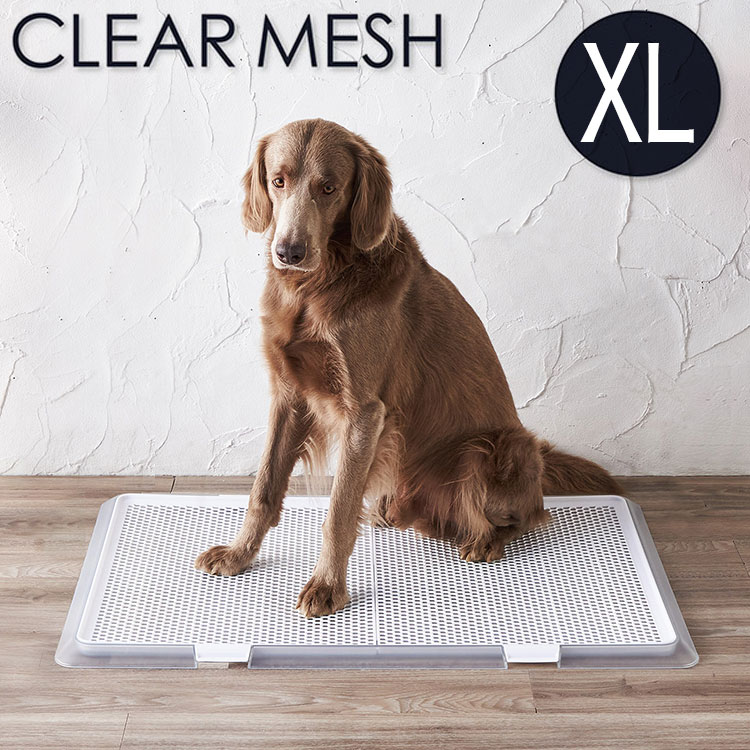 ボンビアルコン ペットレー せつ然たるメッシュ XL 約94×64珊 スーパーワイドサイズ相応う 薄型 低床式 室内用便器 犬用室内用便器 半澄み切った せつ然たる 中型犬 大型犬 多頭飼い ボンビ【貨物輸送無料】