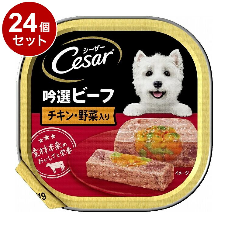 【24個セット】 シーザー 吟選ビーフ チキン・野菜入り 100g【送料無料】