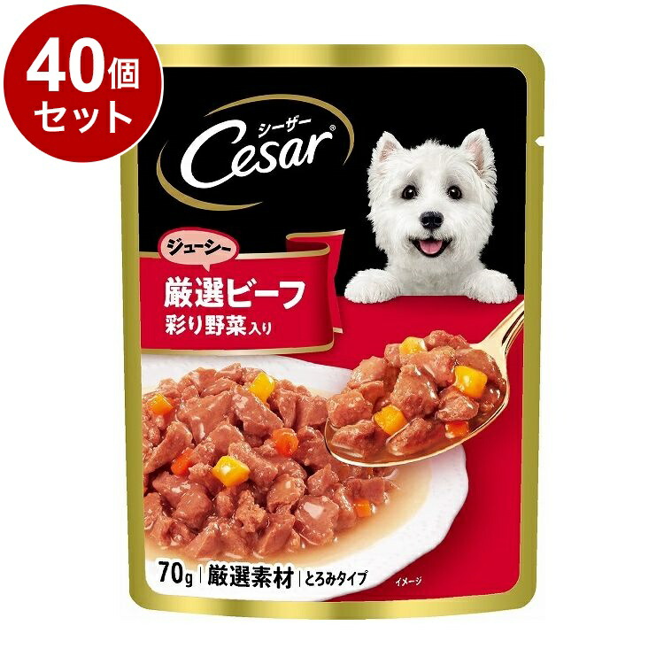 【40個セット】 シーザー ジューシー厳選ビーフ 彩り野菜入り 70g【送料無料】