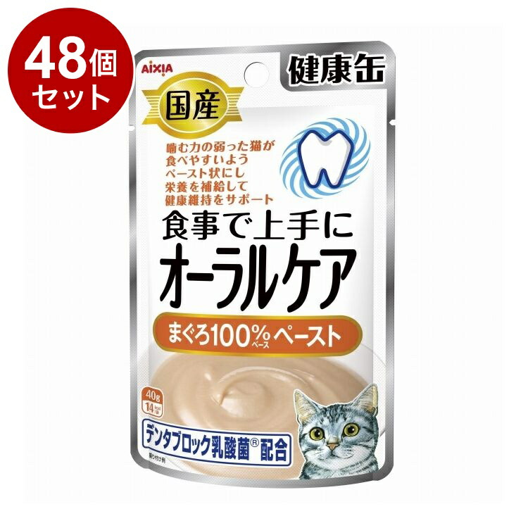 【48個セット】 アイシア 国産 健康缶パウチ オーラルケア まぐろペースト 40g【送料無料】